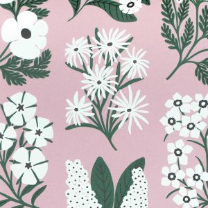 Freida Rose Wallpaper