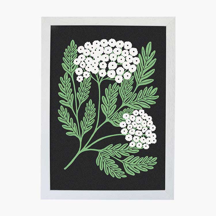 art-print-tansy-black-white-frame-Abigail-Borg